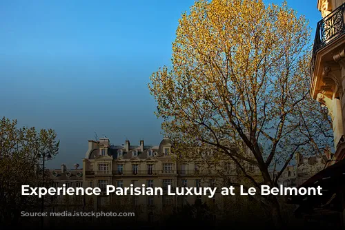 Experience Parisian Luxury at Le Belmont Paris