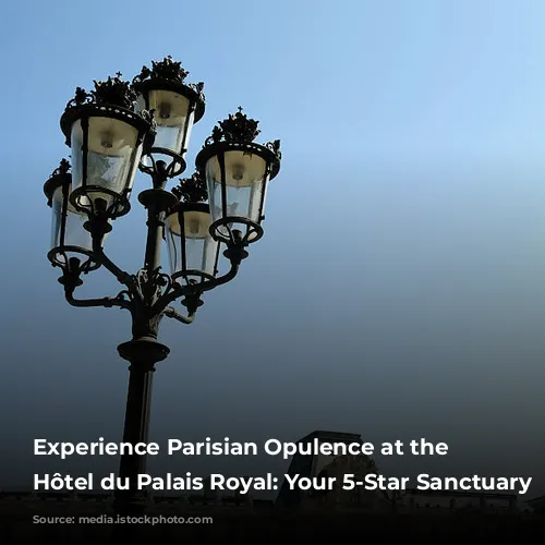 Experience Parisian Opulence at the Grand Hôtel du Palais Royal: Your 5-Star Sanctuary