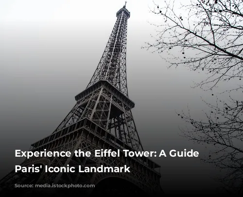 Experience the Eiffel Tower: A Guide to Paris' Iconic Landmark