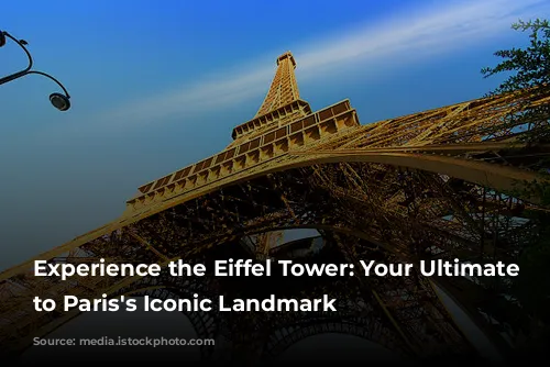 Experience the Eiffel Tower: Your Ultimate Guide to Paris's Iconic Landmark