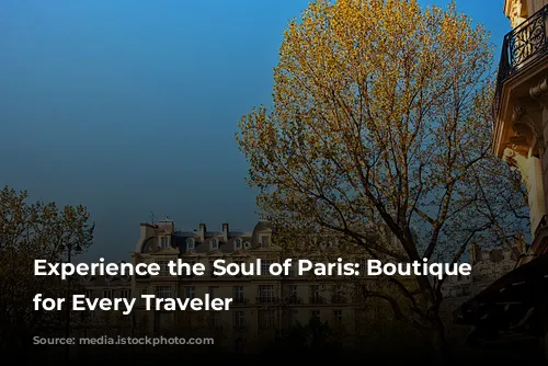 Experience the Soul of Paris: Boutique Hotels for Every Traveler