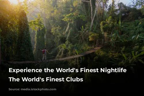 Experience the World's Finest Nightlife with The World's Finest Clubs