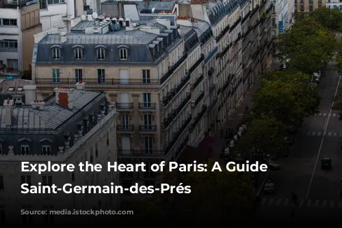 Explore the Heart of Paris: A Guide to Saint-Germain-des-Prés