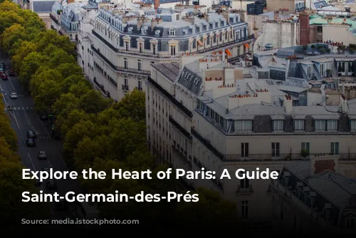 Explore the Heart of Paris: A Guide to Saint-Germain-des-Prés