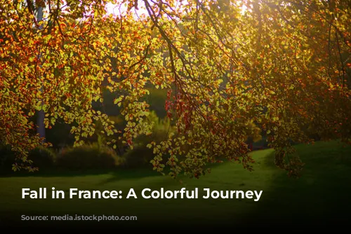 Fall in France: A Colorful Journey