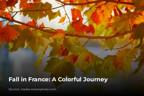 Fall in France: A Colorful Journey