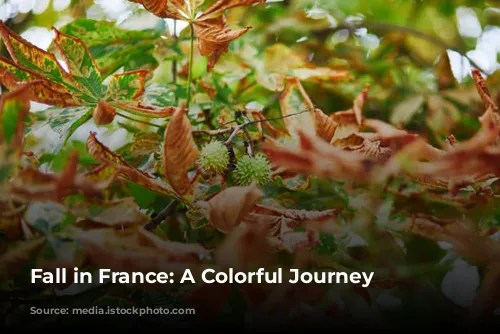 Fall in France: A Colorful Journey