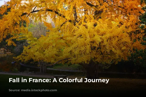 Fall in France: A Colorful Journey