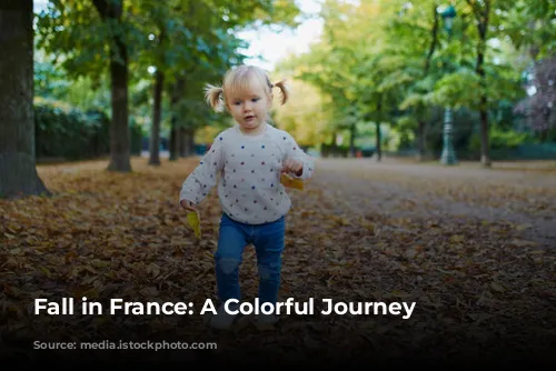 Fall in France: A Colorful Journey