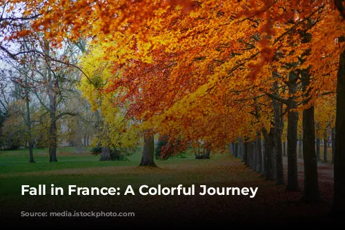 Fall in France: A Colorful Journey