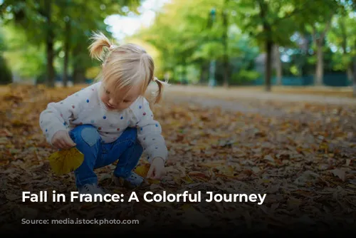 Fall in France: A Colorful Journey