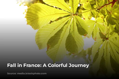 Fall in France: A Colorful Journey