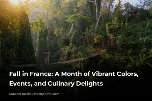 Fall in France: A Month of Vibrant Colors, Festive Events, and Culinary Delights