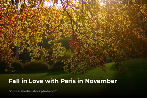 Fall in Love with Paris in November