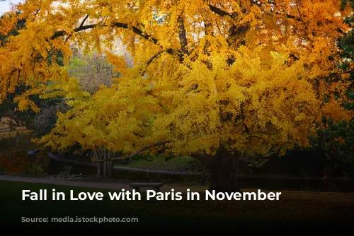 Fall in Love with Paris in November