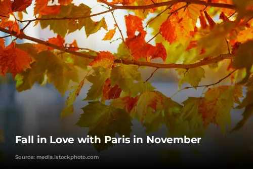 Fall in Love with Paris in November