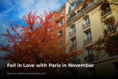 Fall in Love with Paris in November