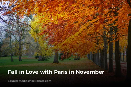 Fall in Love with Paris in November