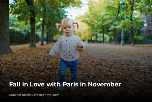 Fall in Love with Paris in November