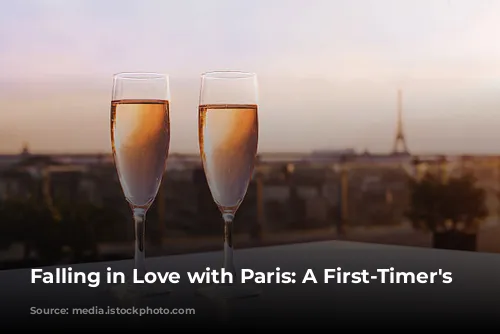 Falling in Love with Paris: A First-Timer's Guide