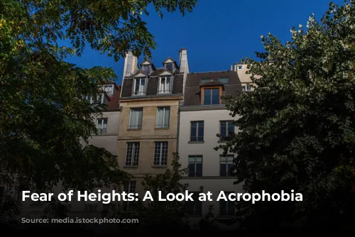 Fear of Heights: A Look at Acrophobia