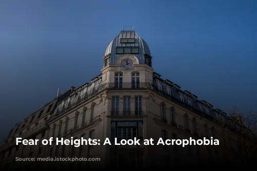 Fear of Heights: A Look at Acrophobia