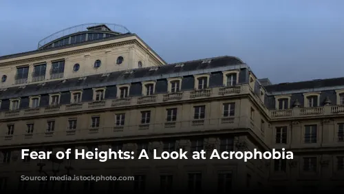 Fear of Heights: A Look at Acrophobia