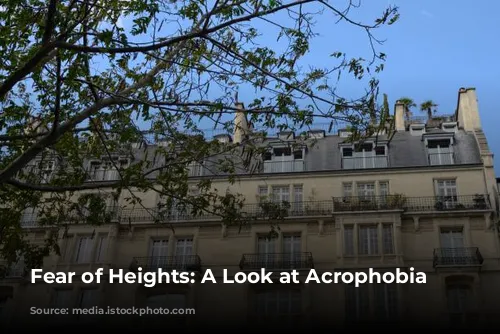 Fear of Heights: A Look at Acrophobia