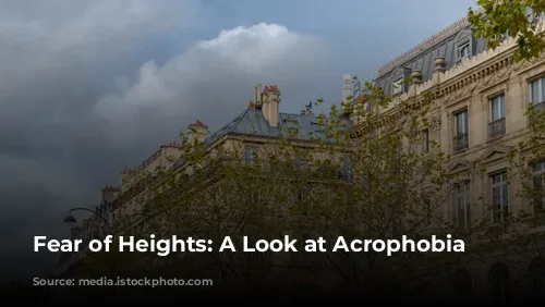 Fear of Heights: A Look at Acrophobia