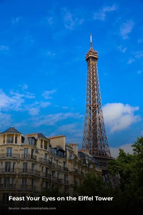 Feast Your Eyes on the Eiffel Tower