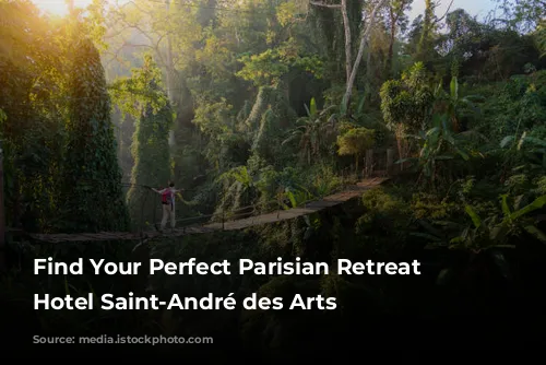 Find Your Perfect Parisian Retreat at Hotel Saint-André des Arts