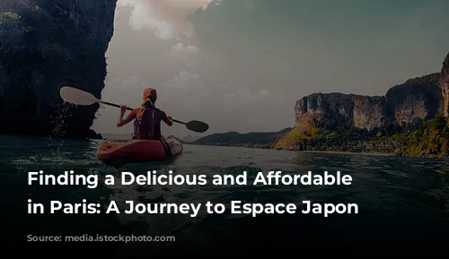 Finding a Delicious and Affordable Lunch in Paris: A Journey to Espace Japon