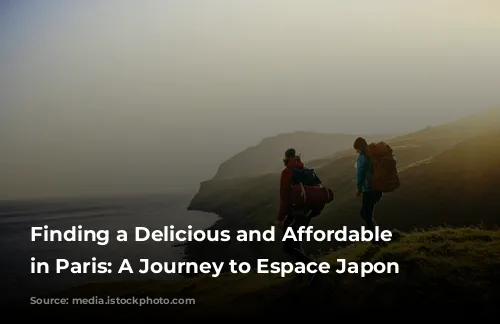 Finding a Delicious and Affordable Lunch in Paris: A Journey to Espace Japon