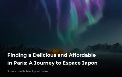 Finding a Delicious and Affordable Lunch in Paris: A Journey to Espace Japon