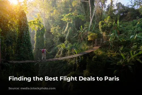 Finding the Best Flight Deals to Paris