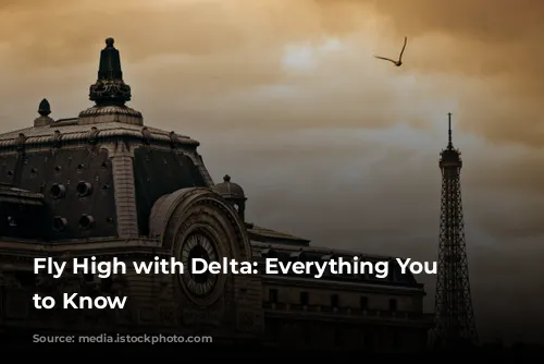 Fly High with Delta: Everything You Need to Know