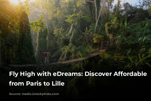 Fly High with eDreams: Discover Affordable Flights from Paris to Lille