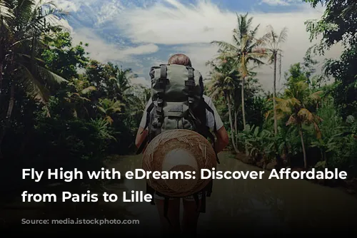 Fly High with eDreams: Discover Affordable Flights from Paris to Lille