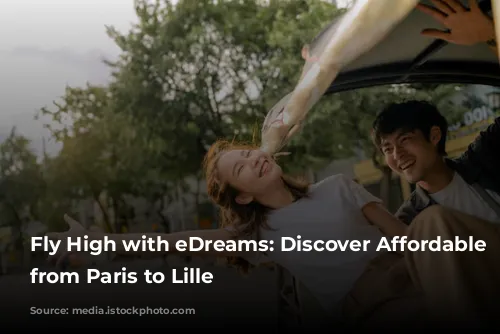 Fly High with eDreams: Discover Affordable Flights from Paris to Lille