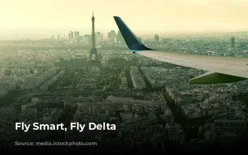 Fly Smart, Fly Delta