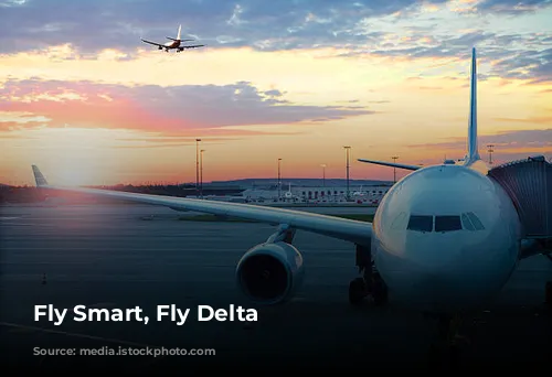 Fly Smart, Fly Delta