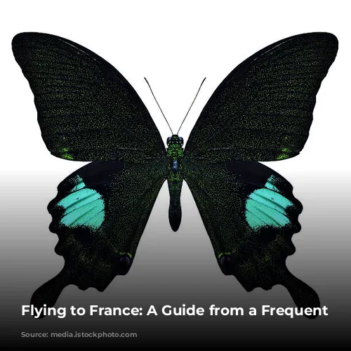 Flying to France: A Guide from a Frequent Flyer