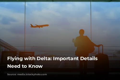 Flying with Delta: Important Details You Need to Know