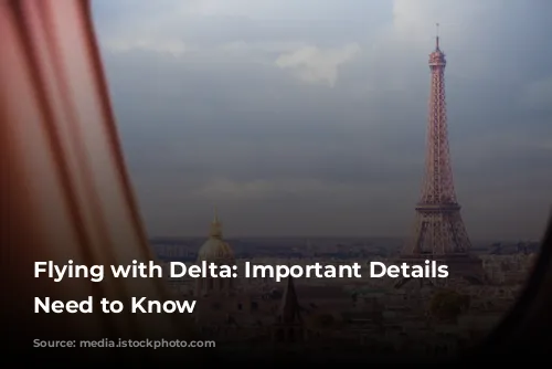 Flying with Delta: Important Details You Need to Know