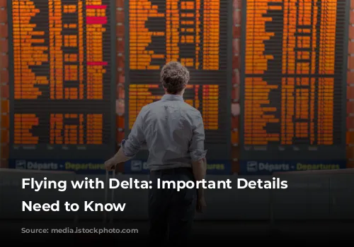 Flying with Delta: Important Details You Need to Know