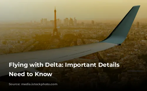 Flying with Delta: Important Details You Need to Know