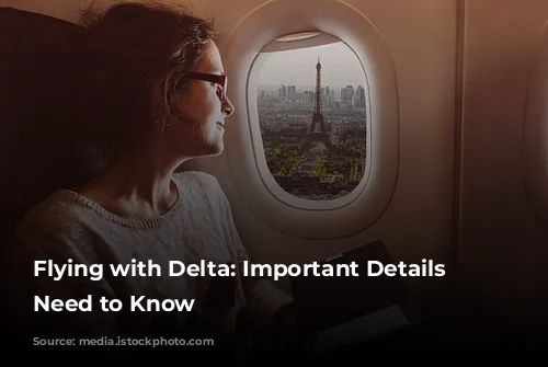 Flying with Delta: Important Details You Need to Know