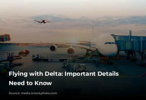 Flying with Delta: Important Details You Need to Know