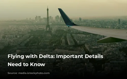 Flying with Delta: Important Details You Need to Know