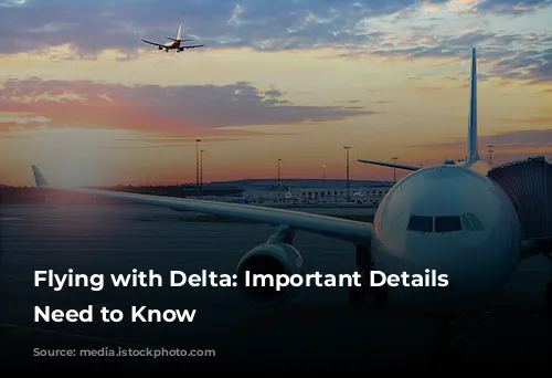 Flying with Delta: Important Details You Need to Know